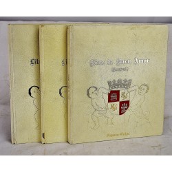 Libro de Buen Amor (Facsimi)